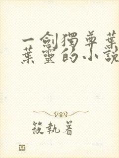 一剑独尊叶玄,叶灵的小说