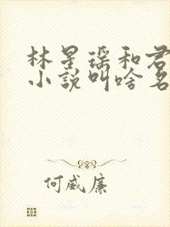 林星瑶和君玄夜小说叫啥名封面