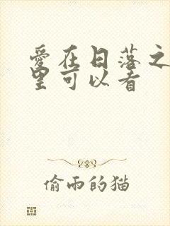 爱在日落之前哪里可以看