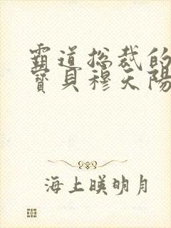 霸道总裁的私有宝贝穆天阳