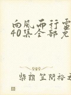 向风而行电视剧40集全部免费