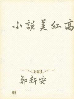小说美红高义