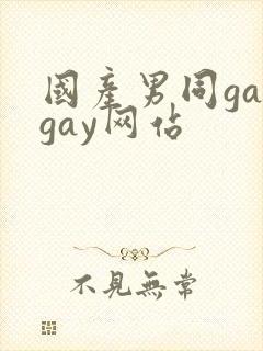 国产男同gaygay网站