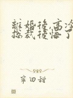 离婚后,高冷女总裁后悔了txt下载