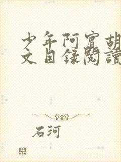 少年阿宾胡太全文目录阅读在线