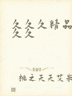 久久久精品国产久久封面