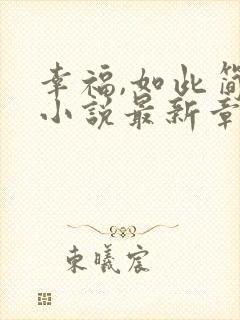 幸福,如此简单小说最新章节阅读全文封面