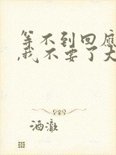 等不到回应的爱,我不要了大结局