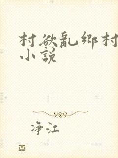 村欲乱乡村风流小说