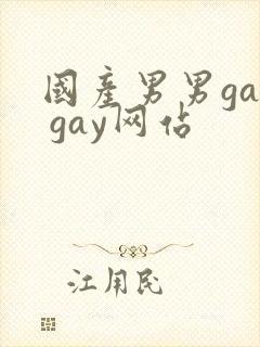 国产男男gay gay网站封面