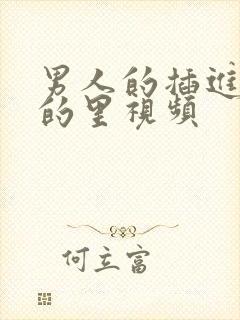 男人的插进女人的里视频