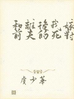 和离后我嫁给了前夫的死对头