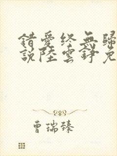 错爱终无归途小说陆云铮免费阅读