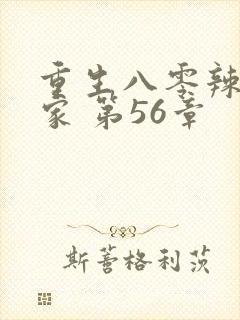 重生八零辣妻当家 第56章