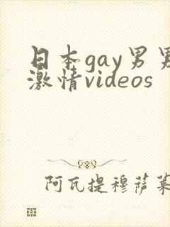 日本gay男男激情videos封面
