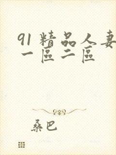 91 精品人妻一区二区封面