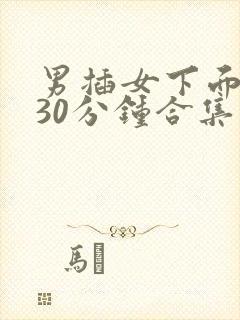 男插女下面视频30分钟合集封面