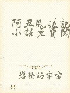 阿丑风流记原著小说免费阅读
