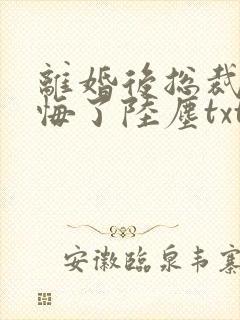 离婚后总裁他后悔了陆尘txt封面