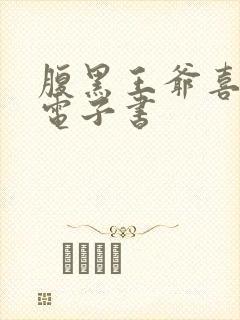 腹黑王爷喜当爹电子书封面