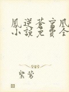 凤逆苍穹凰北月小说免费全文