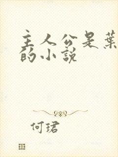 主人公是叶小天的小说