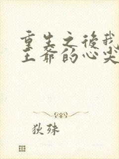 重生之后我成了王爷的心尖宠