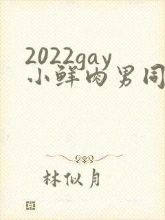 2022gay小鲜肉男同