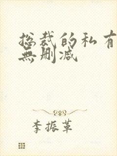 总裁的私有宝贝无删减