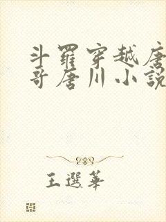 斗罗穿越唐三亲哥唐川小说封面