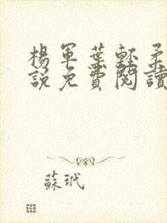 杨军叶轻柔的小说免费阅读无弹窗