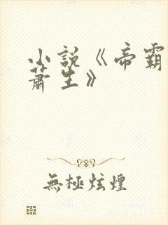 小说《帝霸厌笔萧生》