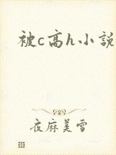 被c高h小说封面