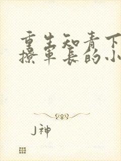 重生知青下乡嫁撩军长的小说