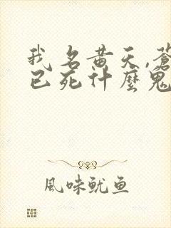 我名黄天,苍天已死什么鬼网盘