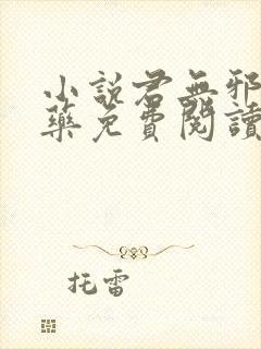 小说君无邪君无药免费阅读