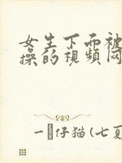 女生下面被男生操的视频网站免费封面