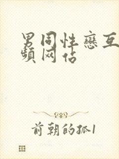 男同性恋互艹视频网站