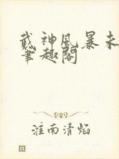 武神风暴未删减笔趣阁封面