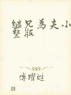 继兄为夫小说完整版