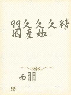 99久久久精品国产嫩