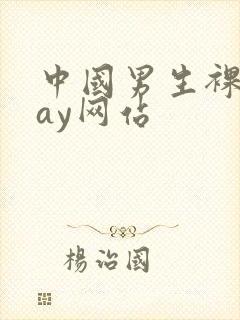 中国男生裸体gay网站