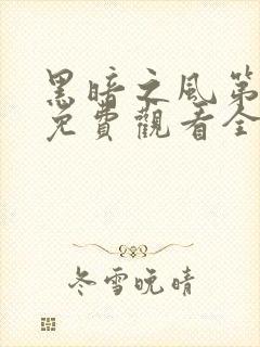 黑暗之风第一季免费观看全集高清