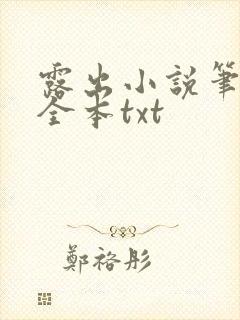 露出小说笔趣阁全本txt