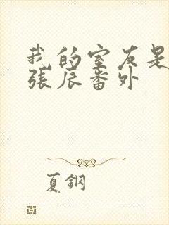 我的室友是直男张辰番外