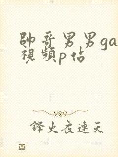 帅哥男男gay视频p站