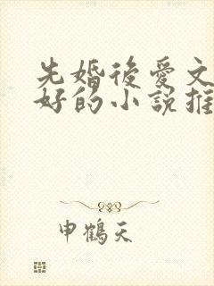 先婚后爱文笔超好的小说推荐封面