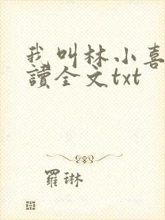 我叫林小喜全阅读全文txt