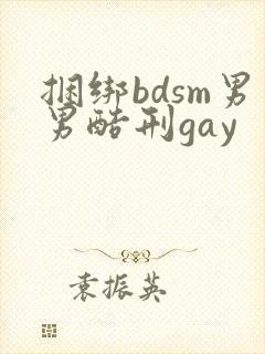 捆绑bdsm男男酷刑gay