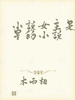 小说女主是沈繁星的小说